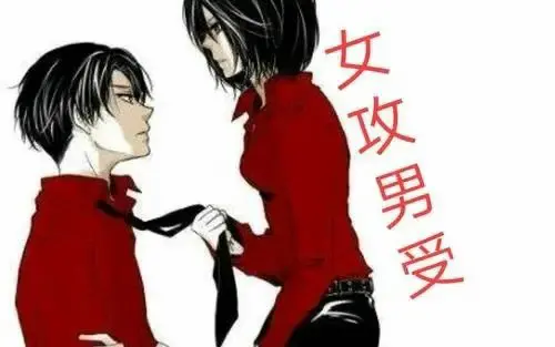 字母圈入圈：我在SM世界里的蜕变与探索 一