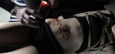 “sp小圈”-探索你的施虐与受虐之旅！ 一