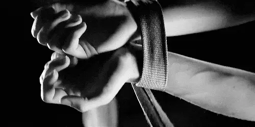 了解k9是什么,揭开角色扮演游戏中的猫奴秘密 一