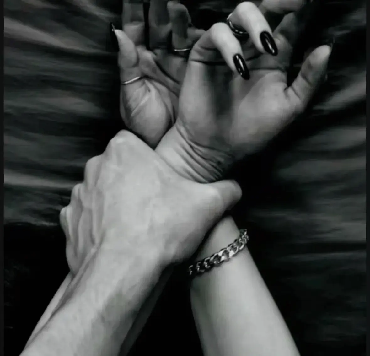 我的爱宠竟然是个K9，那它到底是什么意思？ 一