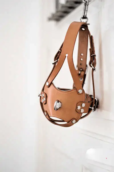 在sp小圈的深海里，隐藏着哪些不为人知的秘密与真实故事？ 一