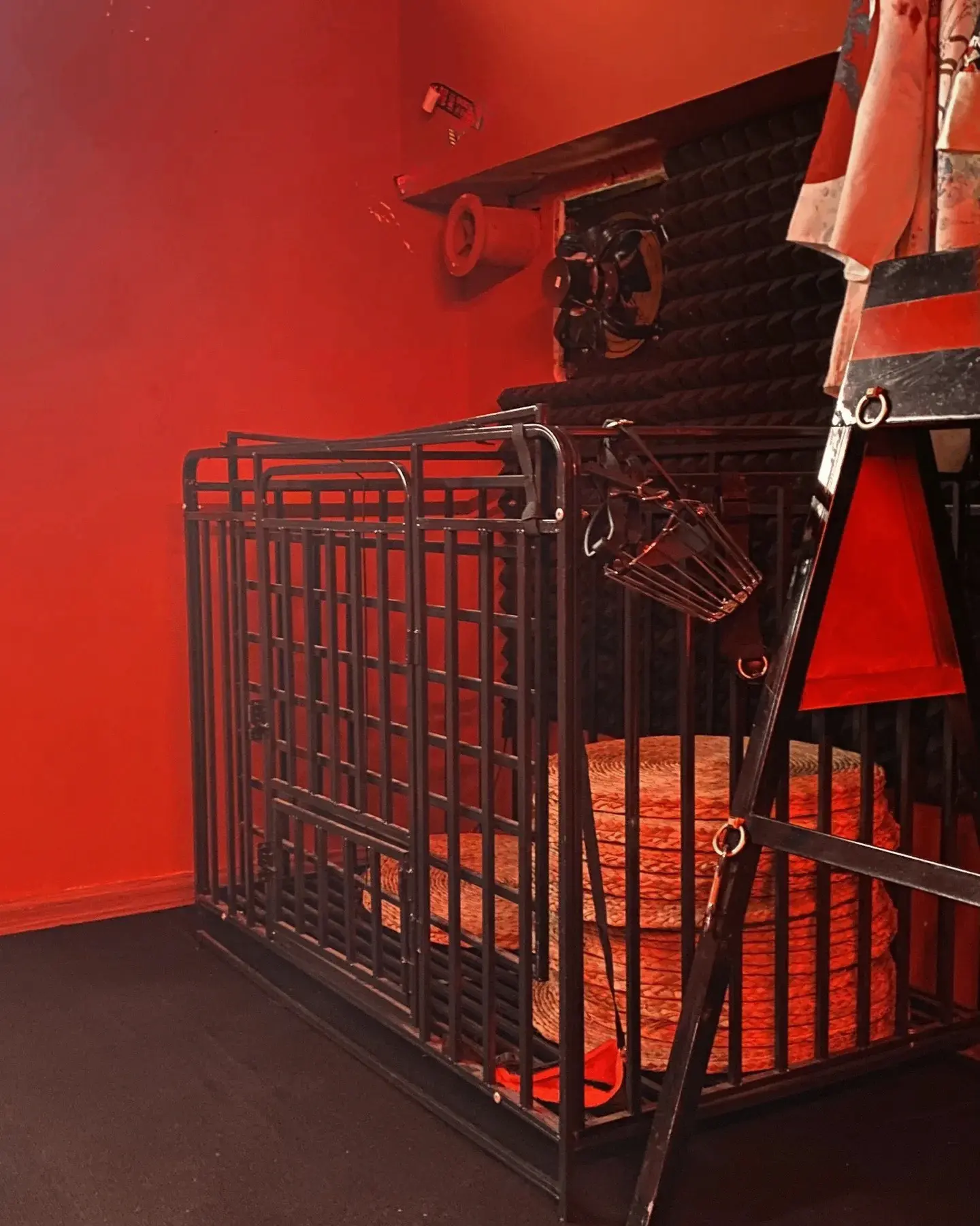 圣水恋足癖：你了解吗？探索这一独特的情感倾向！ 一