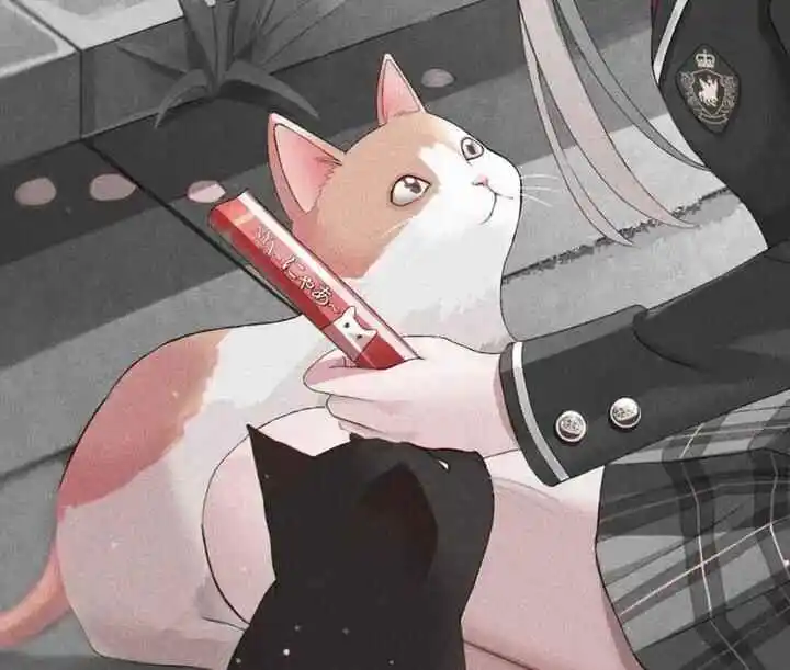 k8是什么:BDSM中的猫奴角色扮演解读 一