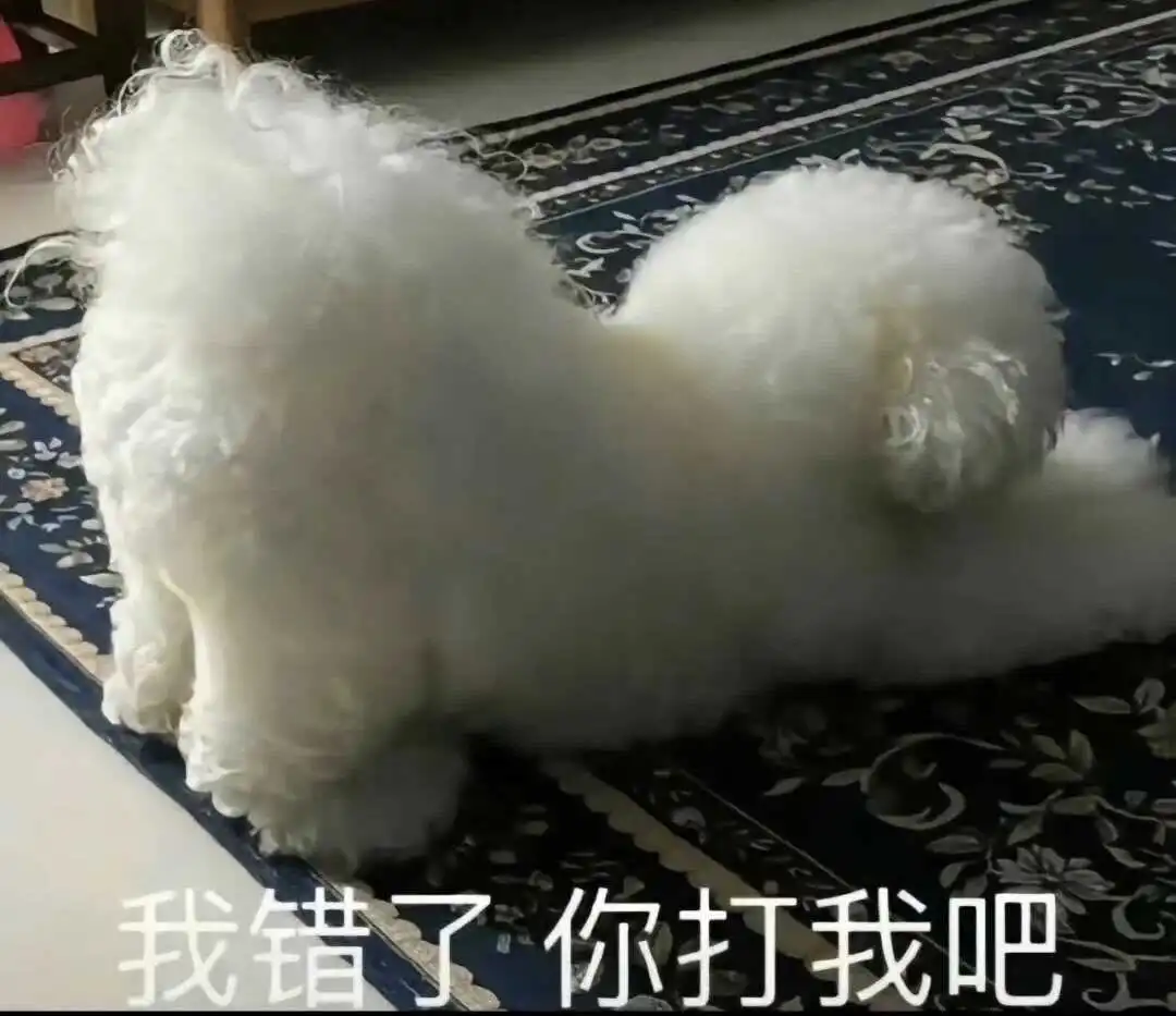 我的闺蜜原来混sp小圈 一