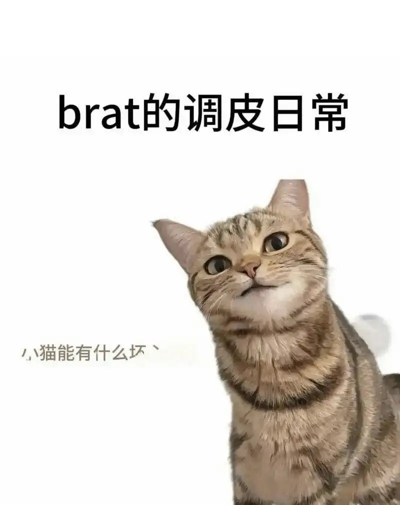 s属性是天生的还是后天养成的？ 一