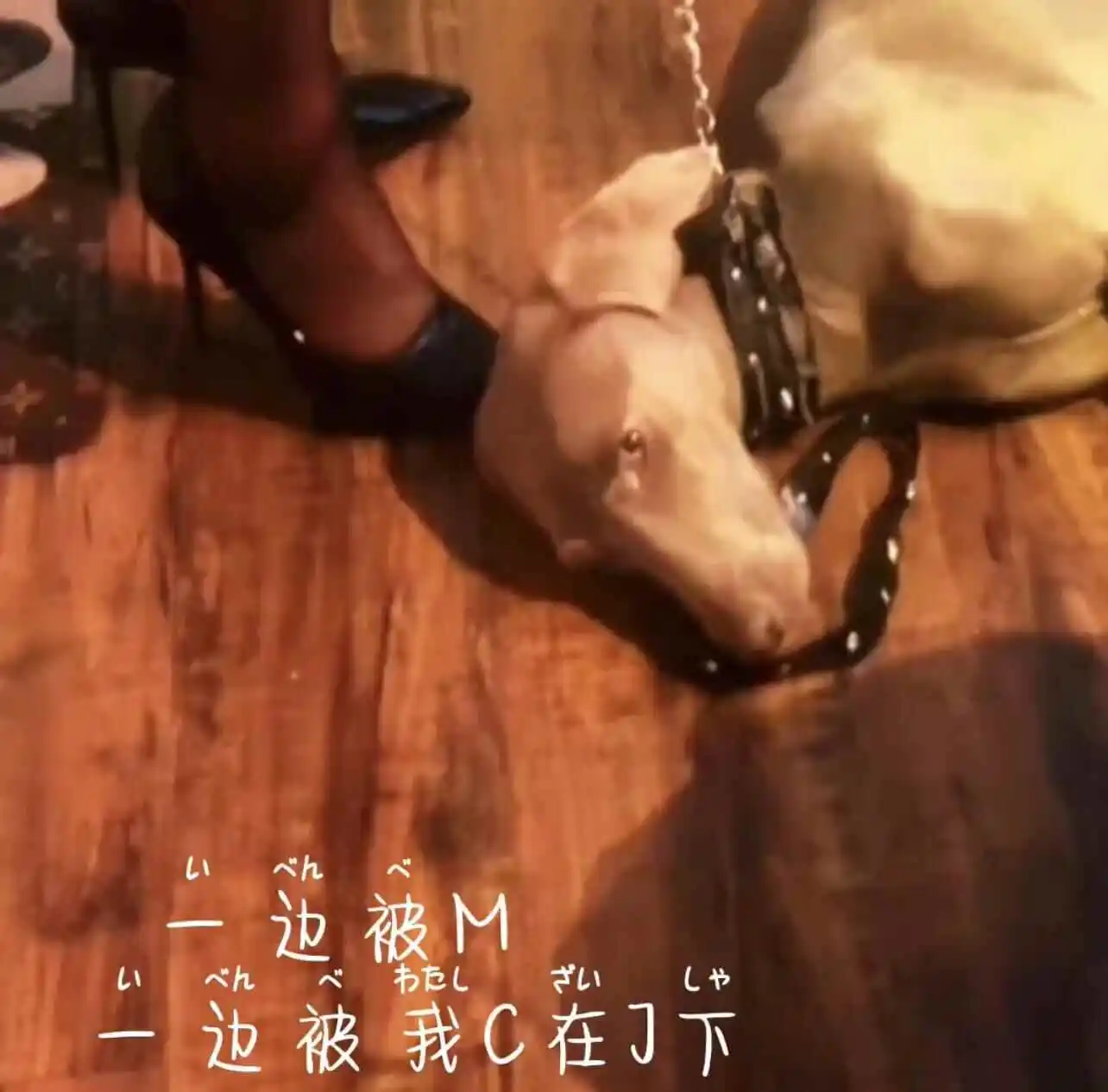 当我第一次弄懂字母圈的aftercare 一