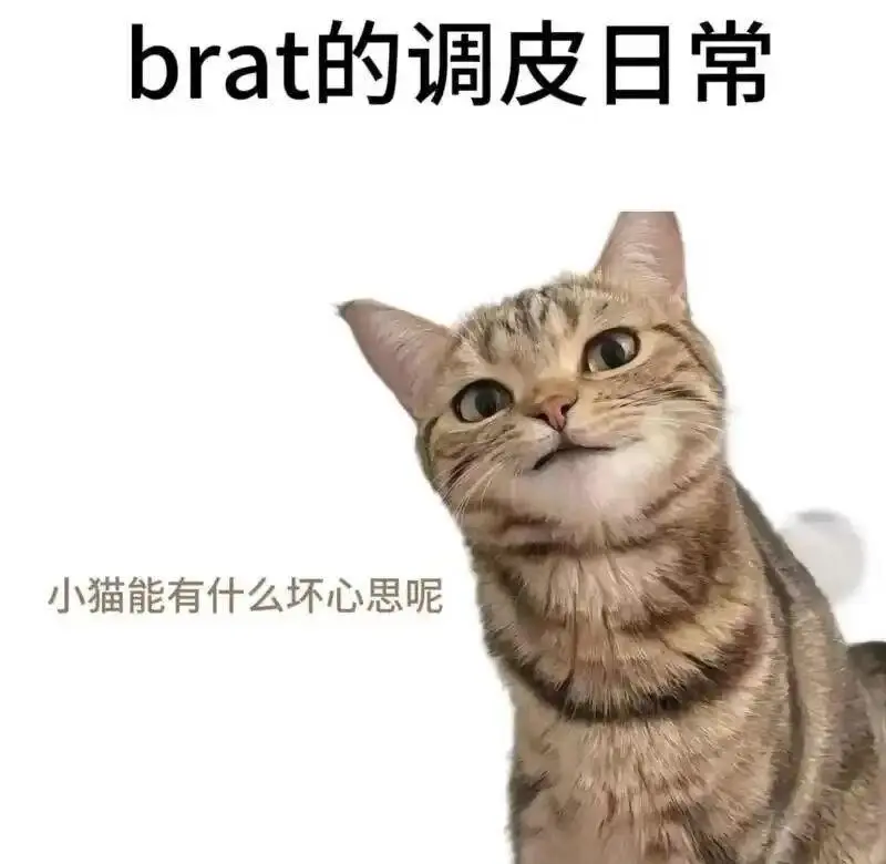 dirty talk是什么?BDSM中的语言游戏怎么玩? 一